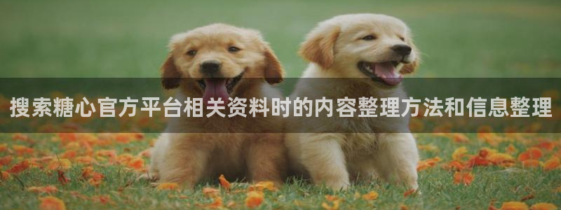 糖心官网入口