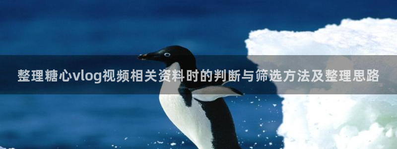 糖心vlog在线免费看:整理糖心vlog视频相关资料时的判断与筛选方法及整理思路